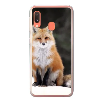 Produktbild von MuchoWow® Handyhülle Schutzhülle Hülle für Samsung Galaxy A20e Fuchs - Schnee - Rot Silikon Softcase Handy Hülle - Abdeckung