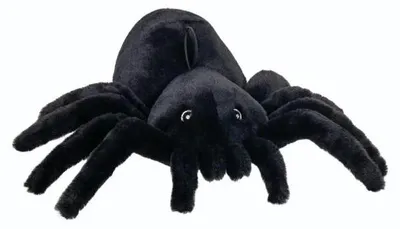 Zdjęcie produktu dla Pająk 50cm - Beppe