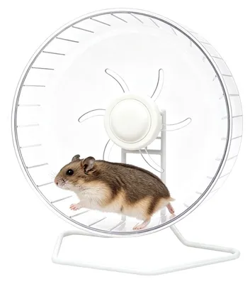 Image de Elzusha - Roue d'exercice silencieux pour petits animaux de compagnie