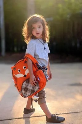 Produktbild von ZOOCCHINI Kinderrucksack Finley der Fuchs L=26 B=10 H=34