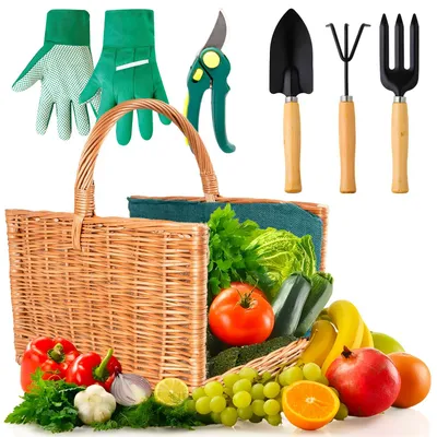 Image de Ensemble Avilia : panier de rangement pour outils de jardin, comprenant des outils de jardin ergonomiques