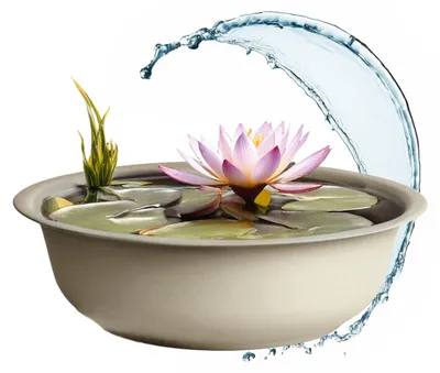 Immagine prodotto di Vaschetta per stagno da giardino, 52 cm - Contenitore per piante - Mini-stagno - Vaso per piante - Decorazione - Metallo resistente agli agenti atmosferici