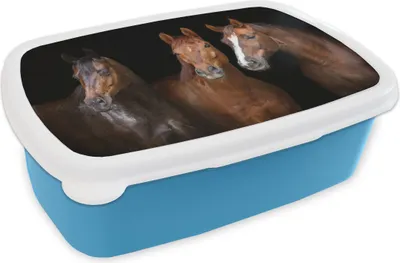 Produktbild von KitchenYeah® Lunchbox Brotzeit Brotdose 17x11 cm Pferde - Tiere - Schwarz - Porträt Kinder Brotzeitdose - Lunch - Kunststoff  - Brotbüchse - Sandwichbox - Lunchbox für Kinder