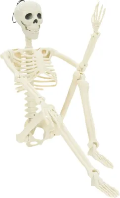 Image de Squelette d'Halloween 2 pcs Blanc 85 cm PVC