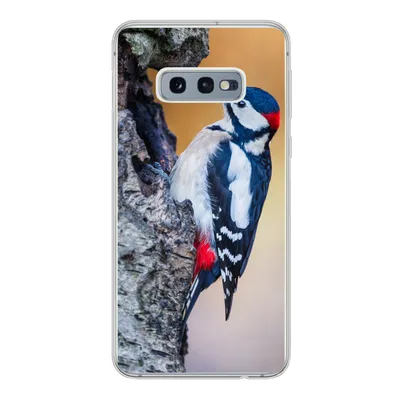 Produktbild von MuchoWow® Handyhülle Schutzhülle Hülle für Samsung Galaxy S10e Nahaufnahme eines Buntspechts auf einem Baumstamm Silikon Softcase Handy Hülle - Handy