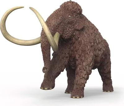 Produktbild von schleich 15053, 5 Jahr(e), Mehrfarbig, Kunststoff