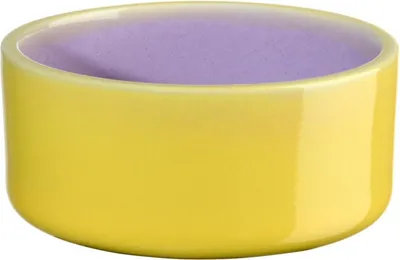 Produktbild von ASA tapero viva Schale violeta 8cm