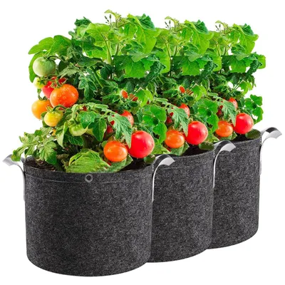Produktbild von 3 Stück 3 Gallone Pflanzsack Kartoffel Tomaten Erdnüsse Vliesstoff Pflanztasche mit Tragegriffen Garten Gemüse Pflanzbeutel