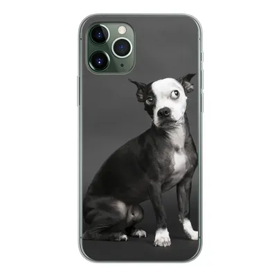 Produktbild von MuchoWow® Handyhülle Schutzhülle Hülle für iPhone 11 Pro Hund - Spot - Porträt Silikon Softcase Handy Hülle
