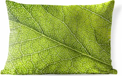 Produktbild von MuchoWow® Outdoor Kissen - Grüne Inseln im Adersystem - 50x30 cm - Wetterfest - Lounge Kissen - Sofa kissen - Wohnzimmer Dekoration
