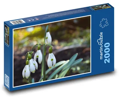 Obrázek produktu pro Puzzle 2000 Sněženky - jarní květiny - martinpuzzle