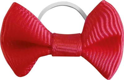 Produktbild von Schleifen für Mähne & Schweif rot