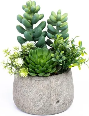 Immagine prodotto di Pianta Artificiale Succulenta Jzs-004