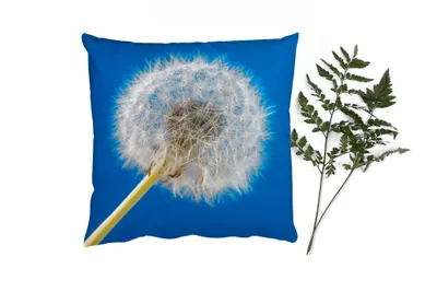 Produktbild von MuchoWow® Zierkissen Sofakissen Wohnzimmer Dekokissen 40x40 cm Löwenzahn - Blume - Terrasse - Foto Kissen - Schlafzimmer Dekoration