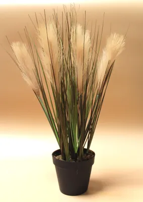 Produktbild von Kunstpflanze Pampasgras im schwarzen Topf 20 x 52cm Kunstgras Pampas-Gräser Boho flauschig
