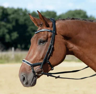 Produktbild von BUSSE Trense Emotion Reithalfter Trensenzaum mit Zügel schwarz (weiß)/ Kristall Pony