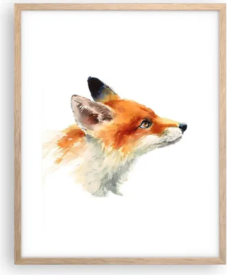 Produktbild von Gerahmtes Poster - Rahmen in heller Eiche - Fuchs Tier Natur - 40x50 cm - Wand Bild - Wanddeko - Wandbilder - Kunstposter - Wandposter - Bilderrahmen - Bilder - Kunstdruck - Wandbild - P2NPA40x50-3904