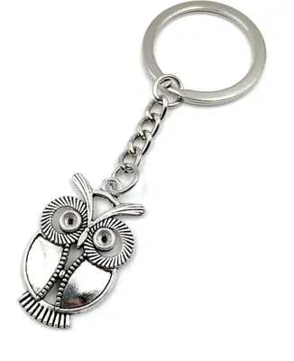 Produktbild von Onwomania Eule Tier Vogel Schlüsselanhänger Metall Glücksbringer in Alu Geschenkbox, ideal zum Verschenken