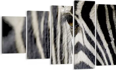 Produktbild von Bild auf Leinwand - Leinwandbild - Zebra Streifen Tierwelt Safari - 100x60cm - Wand Bild - Wanddeko - Leinwanddruck - Bilder - Kunstdruck - Wanddekoration - Leinwand bilder - Wandkunst - EG100x60-2195