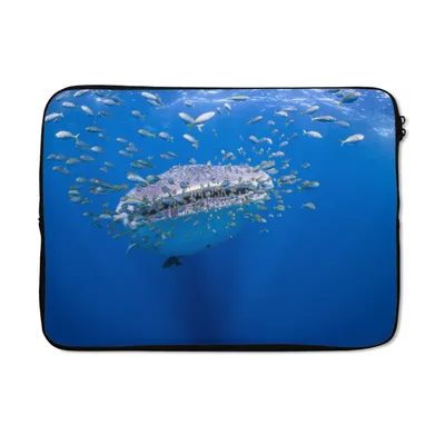 Produktbild von MuchoWow® Laptop Hülle 14 ZollEin Walhai mit kleinen Fischen Laptoptasche - Laptoptasche - Stoßsicher - Schutzhaube