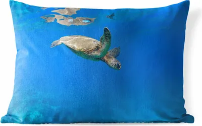 Produktbild von MuchoWow® Outdoor Kissen - Schildkröte schwimmt im Meer - 50x30 cm - Wetterfest - Lounge Kissen - Sofa kissen - Wohnzimmer Dekoration