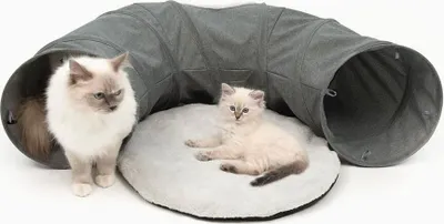 Produktbild von Tunnel für Katzen Vesper mit grauem Bett 68x97x28cm Catit
