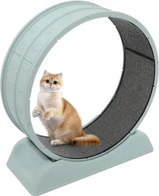 Produktbild von Katzenlaufband 80 cm, mit abnehmbarem Tapet für Katzen