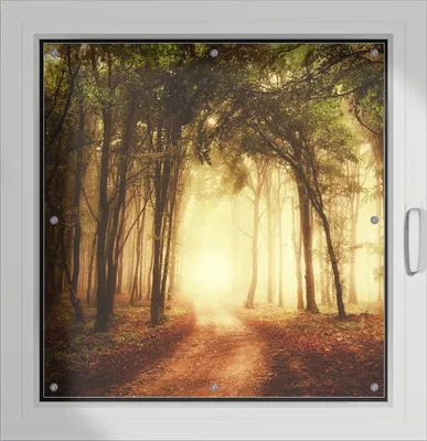 Produktbild von Wallario Lichtschutzbild, Dekorativer Sichtschutz Sonnenschutz 96 x 93 cm mit Motiv: Sonnenuntergang auf dem Waldweg - Verdunklung ohne Bohren