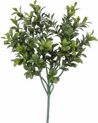 Produktbild von artplants.de Künstlicher Buchszweig Tom, grün, schwer entflammbar, 45cm - Künstlicher Buchs - Buchspflanze