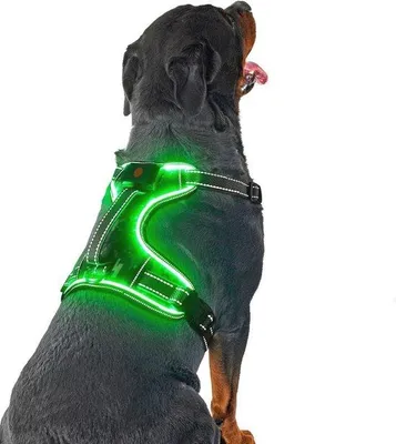 Produktbild von Famanu Hundegeschirr ohne Ziehen - Weich, gepolstert und sicher für Hunde aller Größen