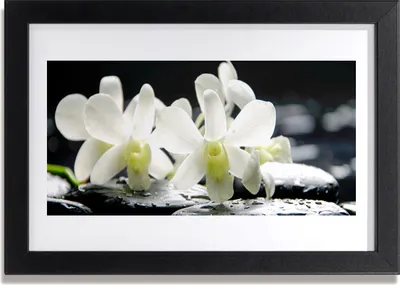Produktbild von Bild 30x20 MDF-Rahmen Wandkunst Steine ​​Orchideen-Blumen