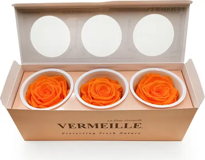 Produktbild von Stabilisierte Rose - Orange - XL - 3 Stk