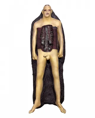 Produktbild von Männerleiche John Doe