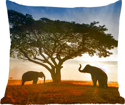 Produktbild von MuchoWow® Zierkissen Sofakissen Wohnzimmer Dekokissen 45x45 cm Elefant - Sonne - Afrika - Schlafpolster - Polster für das Sofa