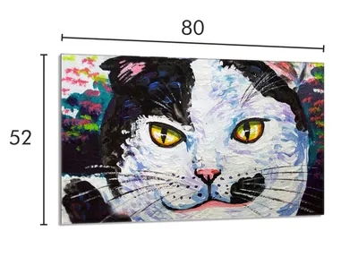Imagen del producto de Placa de vidrio protectora para cocina, dimensiones 80x52, modelo Cat