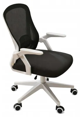 Produktbild von Ergonomischer Bürostuhl mit verstellbaren Armlehnen