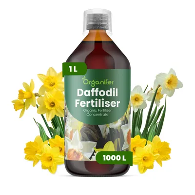 Produktbild von Narzissen Flüssigdünger 1L – 3-4-3 NPK – Flüssigdünger Für Zwiebelpflanzen – Für Blätter & Üppige Blüte – Fördert Wurzeln & Vitalität – Organifer