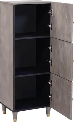 Imagen del producto de vidaXL Mueble alto gris y dorado, 40 x 33 x 110 cm, madera maciza de mango
