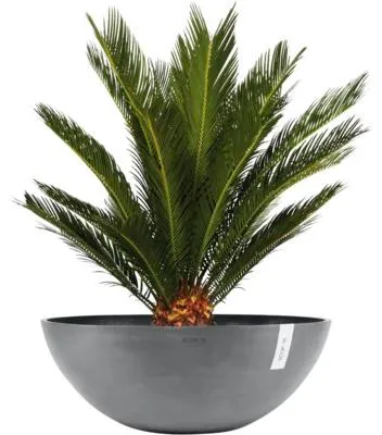 Produktbild von Pflanzschale Ecopots Vienna Kunststoff matt Ø 70 cm H 25,5 cm grau
