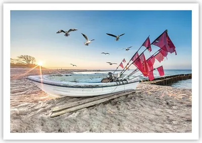 Produktbild von Poster - Poster ohne Rahmen - £ódŸ Küste Möwen - 100x70 cm - Wand Bild - Wanddeko - Wandbilder - Kunstposter - Wandposter - Bilder - Kunstdruck - Wanddekoration - Wandbild - P2XAA100x70-4779
