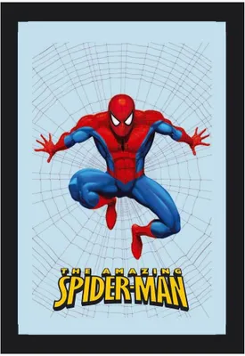 Produktbild von KS227 Spider-Man - Netz - Bedruckter Spiegel