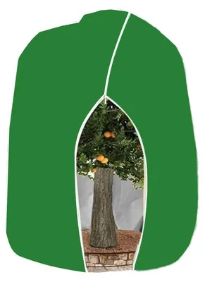 Obrázek produktu pro Zimní ochrana rostlin, kryty rostlin proti mrazu 250 x 360 cm jako zimní ochrana, se zipem na stromy, palmy, balkónové rostliny, prodyšná stříška - odolná proti zrání, zelená