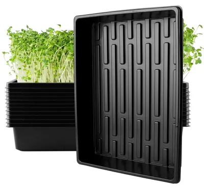 Produktbild von Omgoods - 12 Anzuchtschalen ohne Drainagelöcher - 39 x 29 x 6,5 cm für Pflanzen und Gemüse