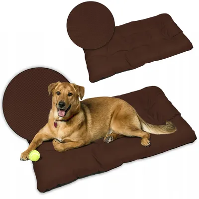 Produktbild von Superkissen24 Hundematratze XXL wasserdicht 120x80cm braun