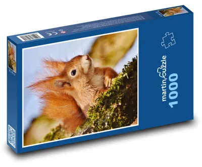 Obrázok produktu pre Puzzle 1000 Veverička na vetve v lese - martinpuzzle