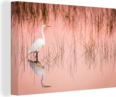 Produktbild von OneMillionCanvasses® - Leinwandbilder - 140x90 cm, Reiher in der Nähe des Sumpfschilfs, Wandbilder Kunstdruck Wanddekoration