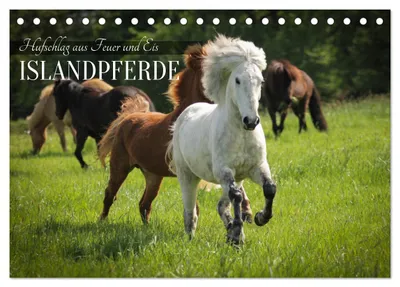 Produktbild von Islandpferde - Hufschlag aus Feuer und Eis (Tischkalender 2027 DIN A5 quer), CALVENDO Monatskalender