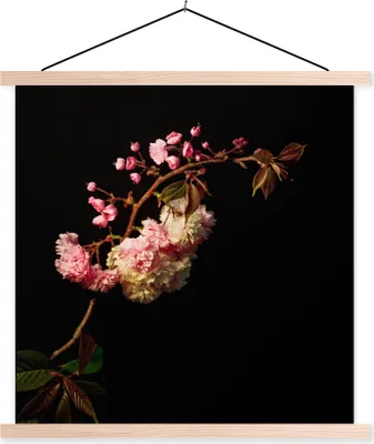 Produktbild von MuchoWow® Textilposter Eine Kirschblüte vor schwarzem Hintergrund 40x40 cm mit holzfarbenen Rahmen - Posterleiste