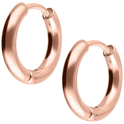 Produktbild von Wildcat Ohrringe - Little Hoops - Roségold, 10,0 mm - Chirurgenstahl 316L - wasserfest, langlebig, hautverträglich, Roségold