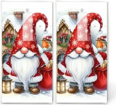 Produktbild von 2x 10 Taschentücher Gnom Edik - Weihnachtszwerg Edik
